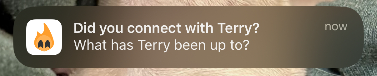 iOS notification from Simmer reading: Did you connect with Terry? What has Terry been up to?
